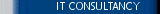 IT Consultancy