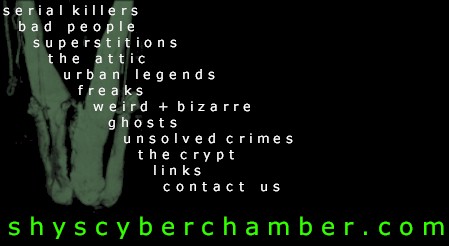 shyscyberchamber.com