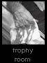 trophy room