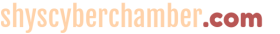 shyscyberchamber